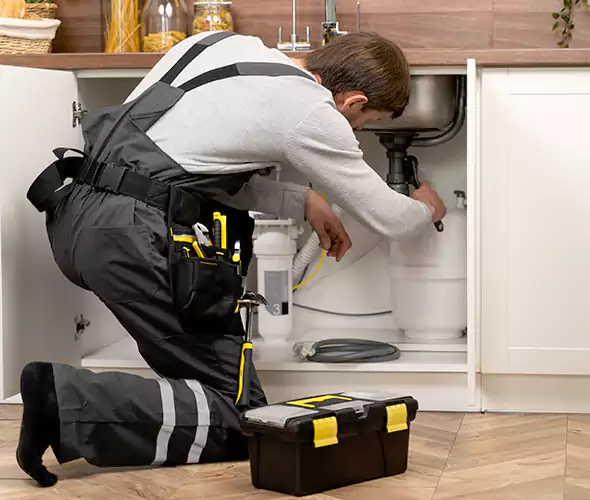 Certified Plumbers for Insinkerator Installation in Sachse