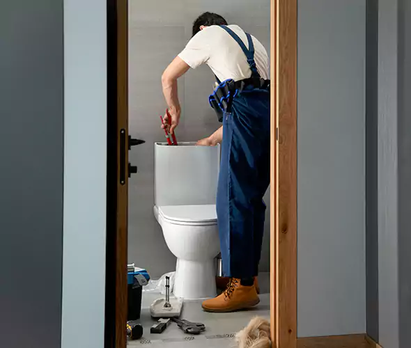 Professional Plumbers for Toilet Bowl Replacement in Sachse, TX: Schedule Affordable Toilet Replacement Services With Us