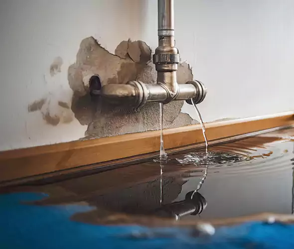 Professional Water Damage Restoration Experts in Sachse, TX — Fast, Reliable & Certified