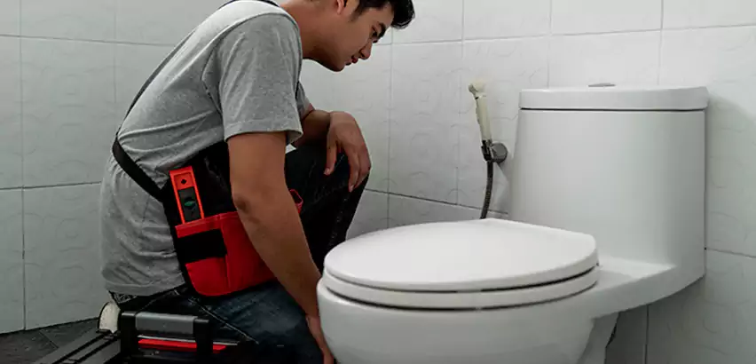 Toilet Repair in Sachse