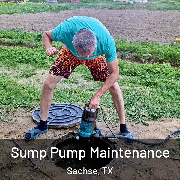  Sump Pump Maintenance Sachse, TX
